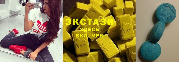 индика Новозыбков