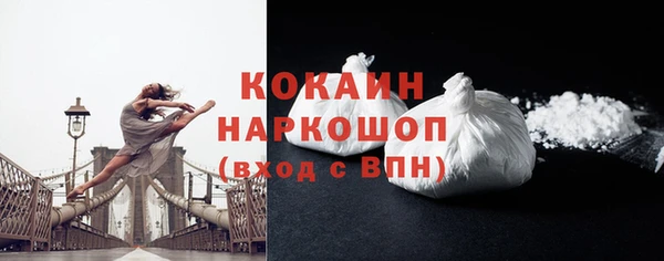 индика Новозыбков