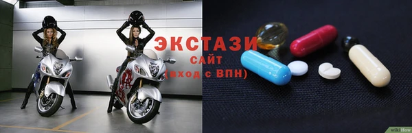 индика Новозыбков
