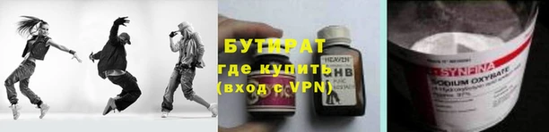 индика Новозыбков