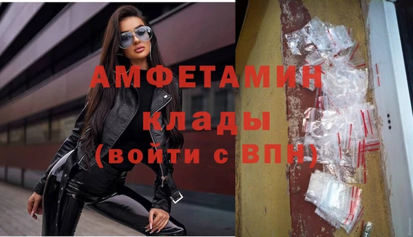индика Новозыбков