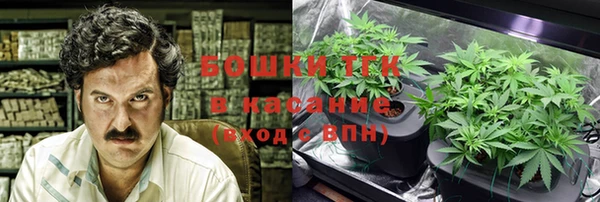 индика Новозыбков