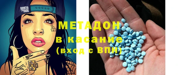 индика Новозыбков