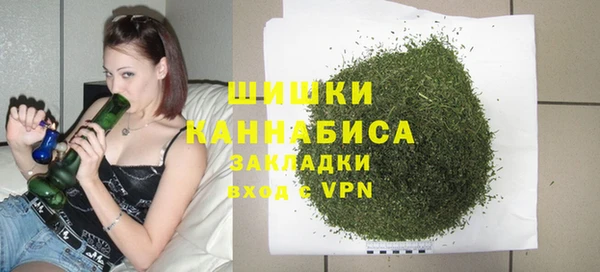 индика Новозыбков