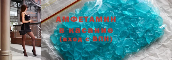 индика Новозыбков